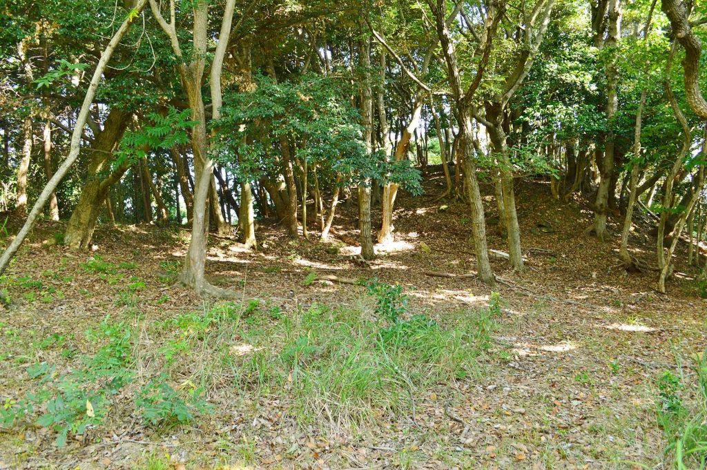 Deizuka Kofun: An Early Kofun-Period Burial Mound on Tsushima 1 Deizuka Kofun