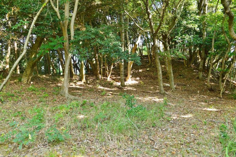 Deizuka Kofun: An Early Kofun-Period Burial Mound on Tsushima
