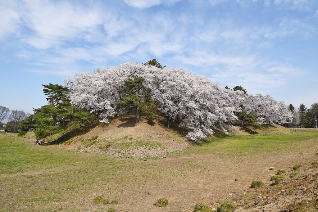 Nanakoshiyama Kofun: A Sixth-Century Burial Mound in Japan 1 Nanakoshiyama Kofun