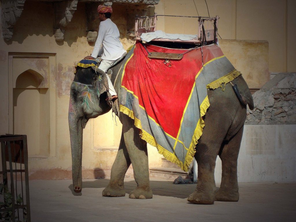 Amber Fort