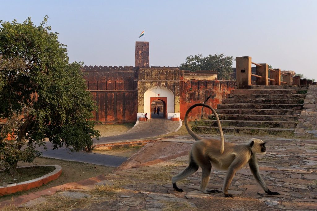 Jaigarh Fort: The Kachwaha Military Fortress Above Amer 5 Jaigarh Fort