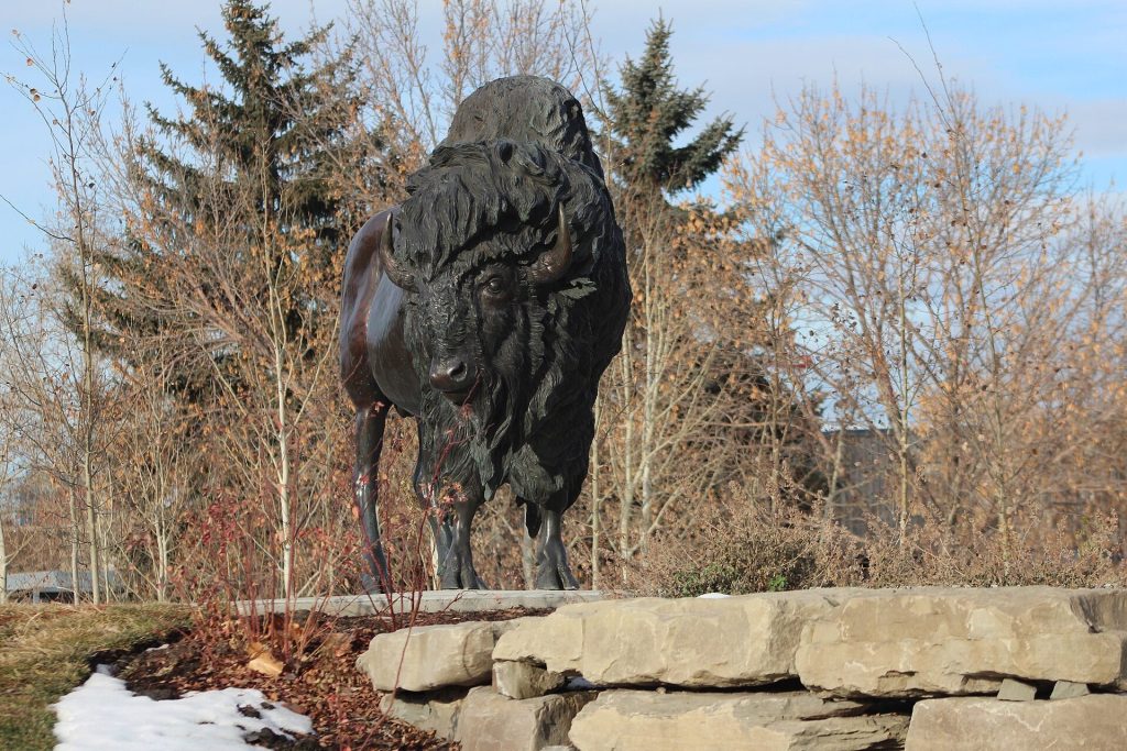 The Confluence: Historic Site and Parkland in Calgary, Canada 4 The Confluence