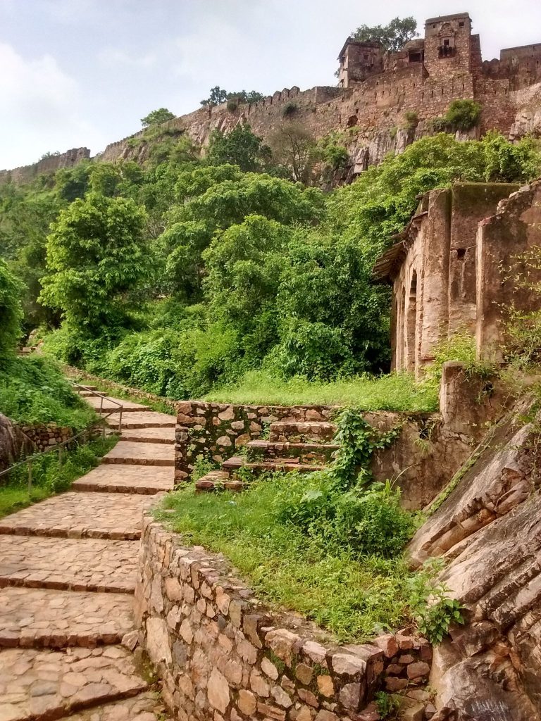 Ranthambore Fort: A Rajput Hill Fortress in Rajasthan, India 3 Ranthambore Fort