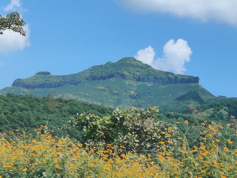 Purandar Fort: A Maratha Mountain Stronghold in India