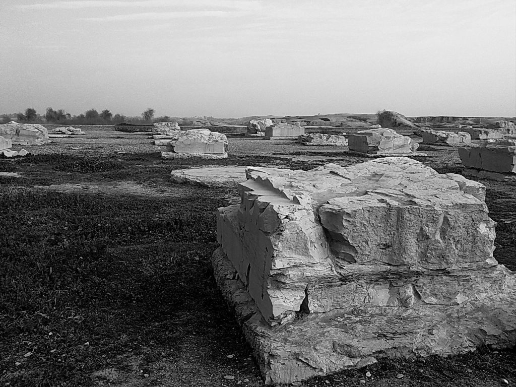 Palace of Darius in Susa: An Achaemenid Royal Complex in Iran 1 Palace of Darius in Susa
