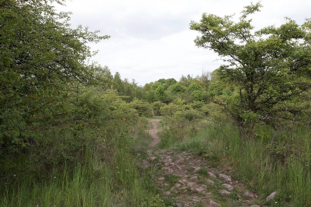 Vladař: A Celtic Fortified Settlement in Czechia 1 Vladař