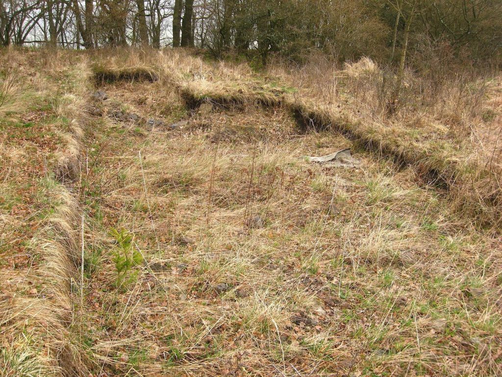 Vladař: A Celtic Fortified Settlement in Czechia 2 Vladař