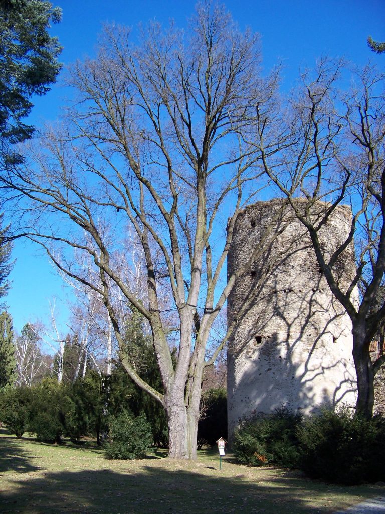Zruč nad Sázavou Castle: A Medieval Castle and Neo-Gothic Chateau 5 Zruč nad Sázavou Castle