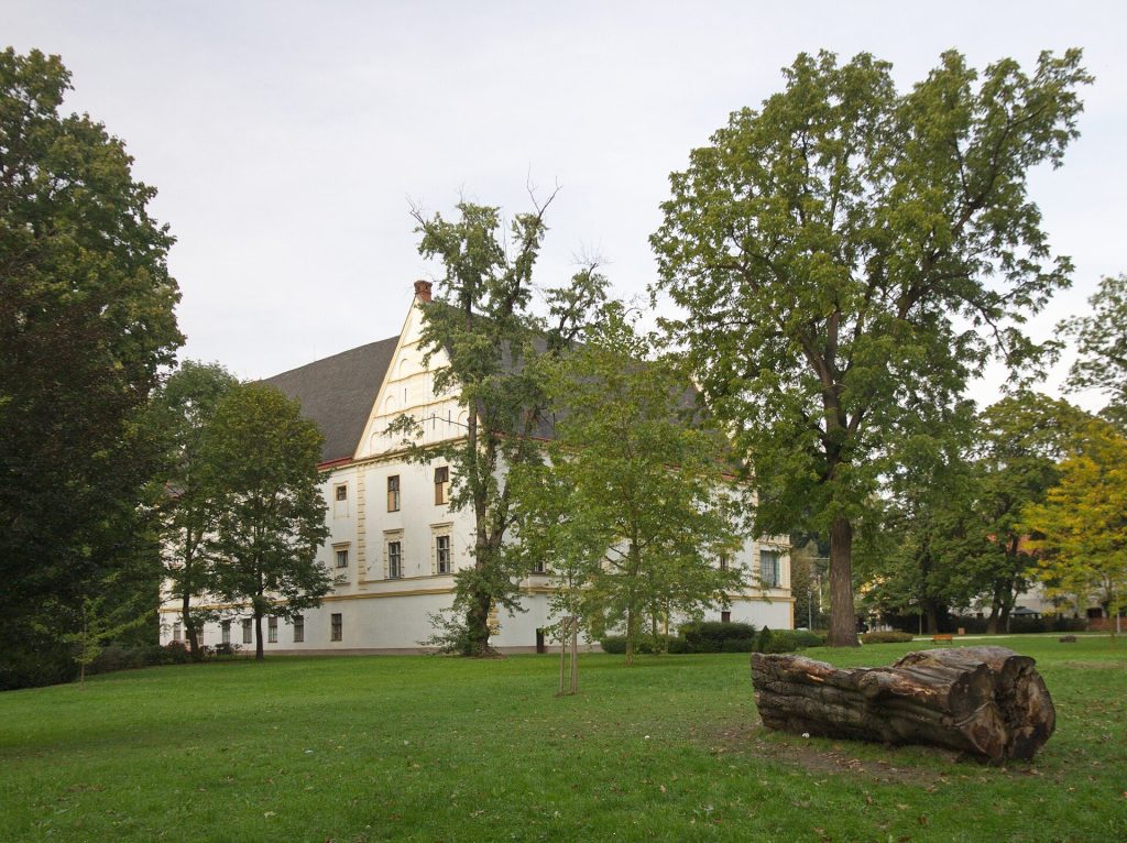 Castle in Bartošovice