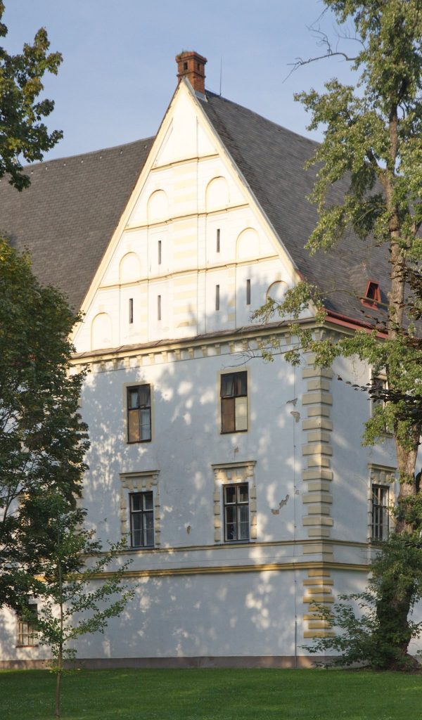 Castle in Bartošovice