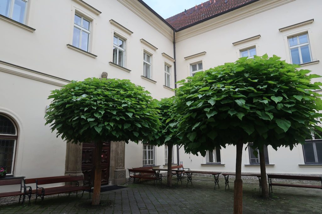Žireč: A Chateau Complex and Former Jesuit Residence in Czechia 5 Žireč
