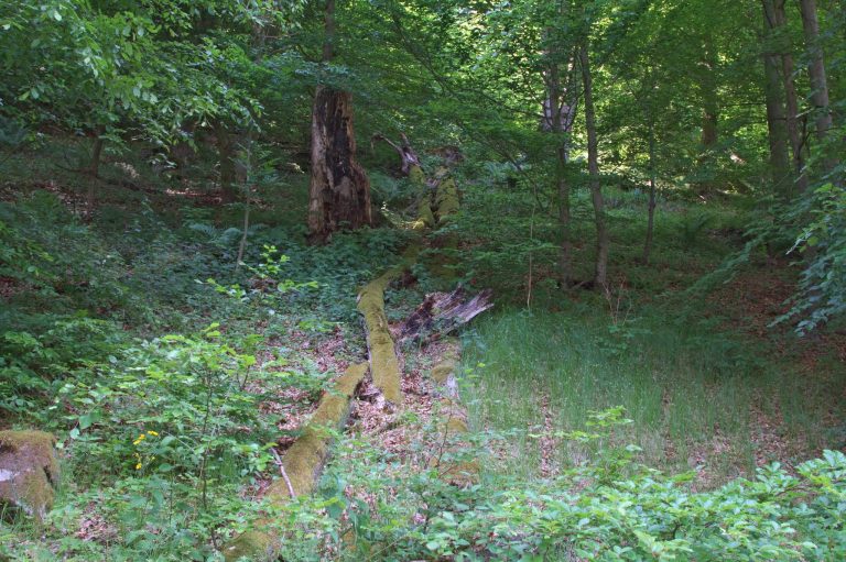 Baba: A Prehistoric Fortified Settlement in Czechia