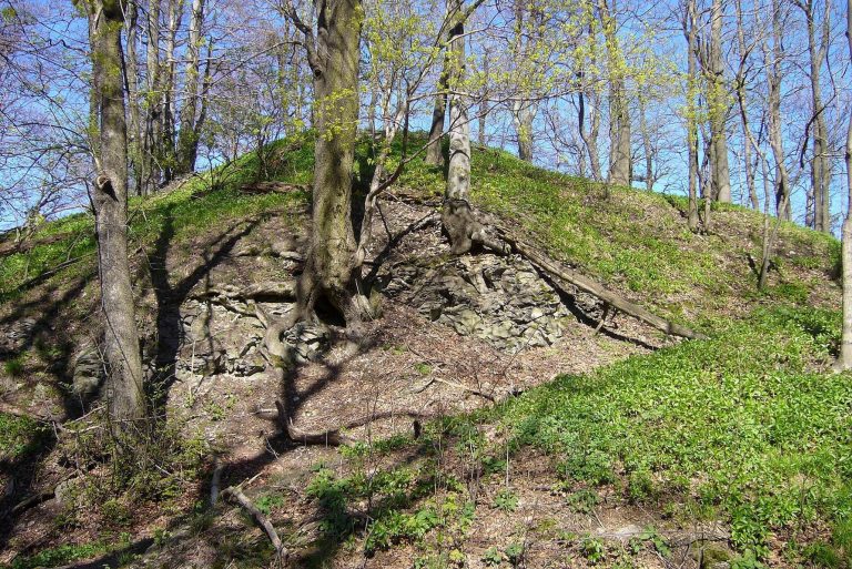 Falkenberk: A Ruined Gothic Castle in Czechia