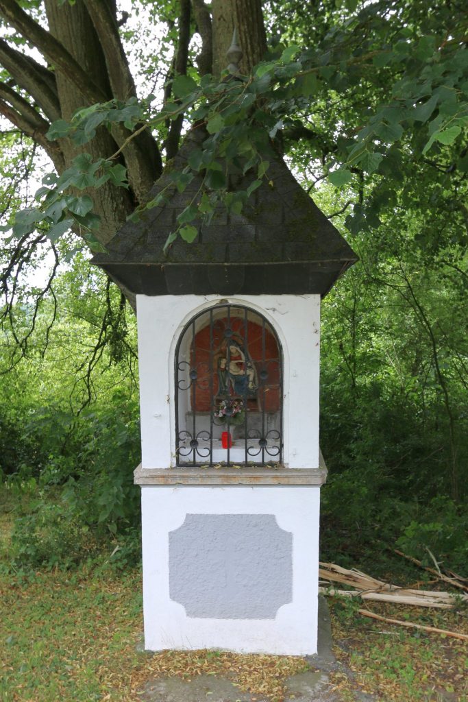 Klosterruine Seligenstatt: Ruins of a Benedictine Nunnery in Germany 2 Klosteruine Seligenstatt