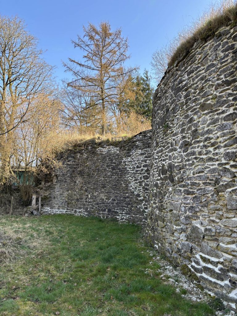 Klosterruine Seligenstatt: Ruins of a Benedictine Nunnery in Germany 3 Klosteruine Seligenstatt