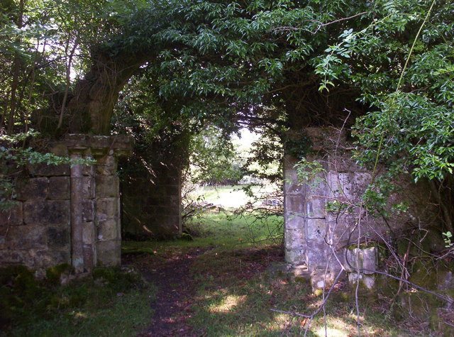 Newminster Abbey: A Cistercian Monastery near Morpeth 4 Newminster Abbey