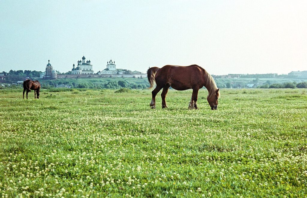 Goritsky Monastery: A Historic Russian Orthodox Monastery in Pereslavl-Zalessky 2 Goritsky Monastery