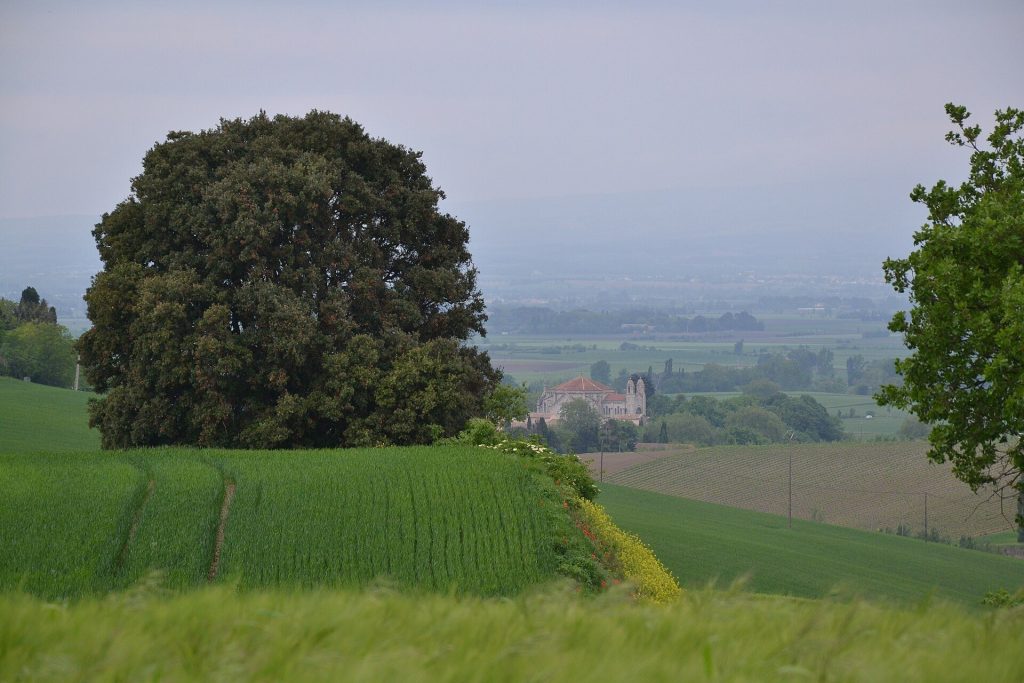 Monastery of Prouille: Cradle of the Dominican Order in France 4 Monastery of Prouille