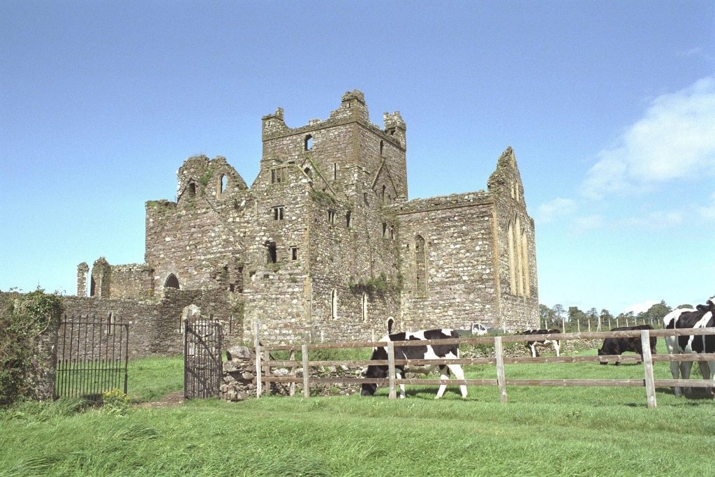 Dunbrody Abbey: A Cistercian Monastery in Ireland 1 Dunbrody Abbey