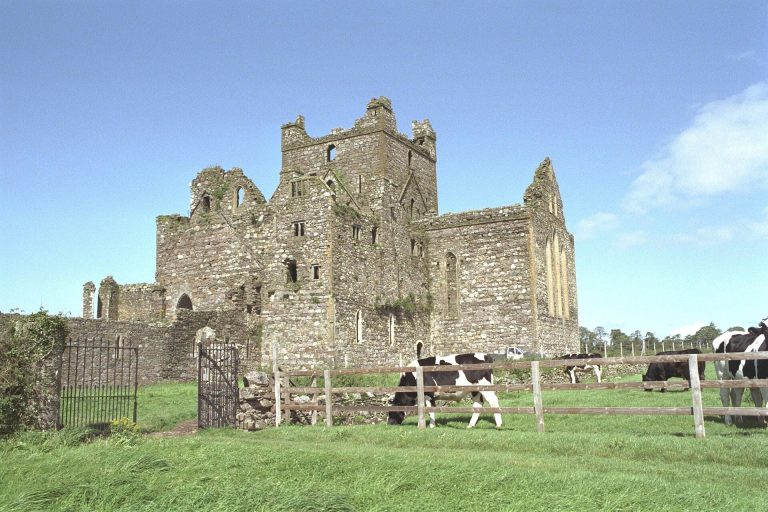 Dunbrody Abbey: A Cistercian Monastery in Ireland