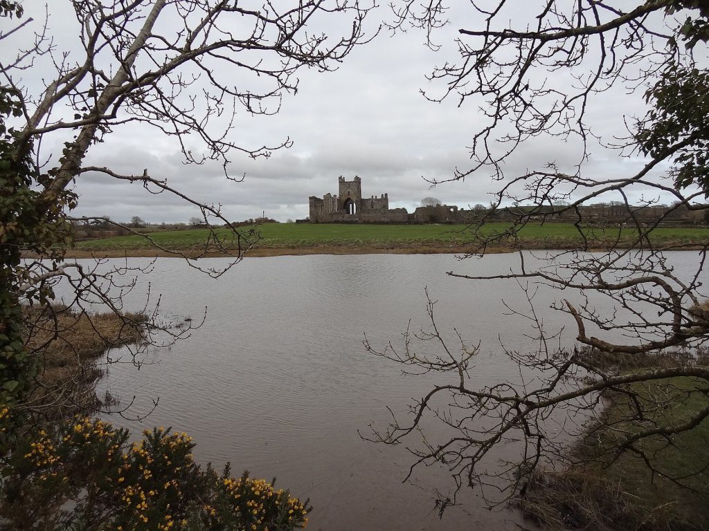 Dunbrody Abbey: A Cistercian Monastery in Ireland 3 Dunbrody Abbey