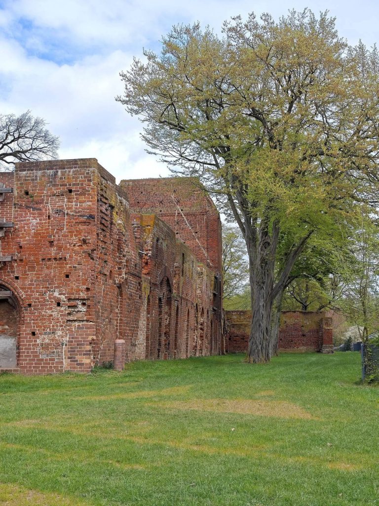 Eldena Abbey: A Cistercian Monastery and Brick Gothic Ruin in Greifswald 3 Eldena Abbey