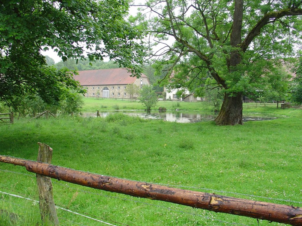 Hardehausen Abbey: A Cistercian Monastery and Educational Centre in Germany 1 Hardehausen Abbey
