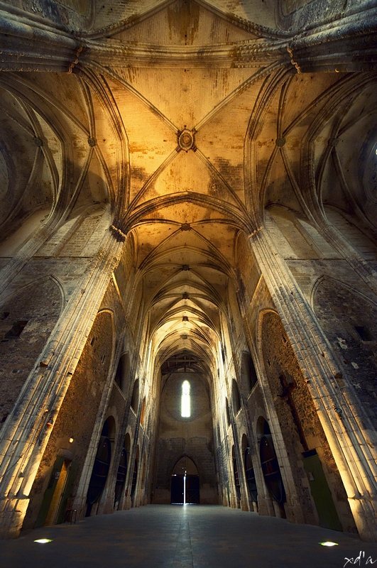 Valmagne Abbey: A Cistercian Monastery and Historic Winery in France 4 Valmagne Abbey
