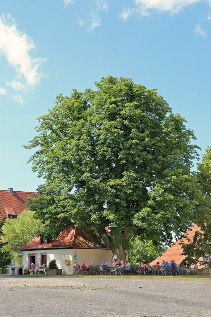 Kirchberg Convent: A Former Dominican Women’s Convent in Germany 4 Kirchberg convent