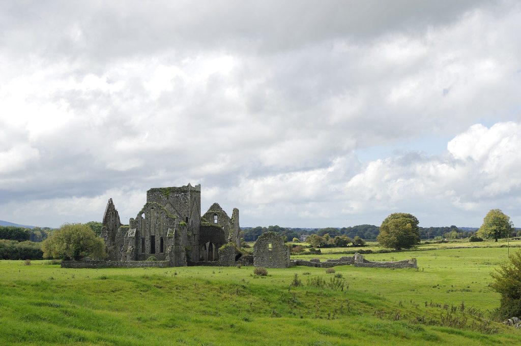 Hore Abbey: A Medieval Cistercian Monastery in Ireland 1 Hore Abbey