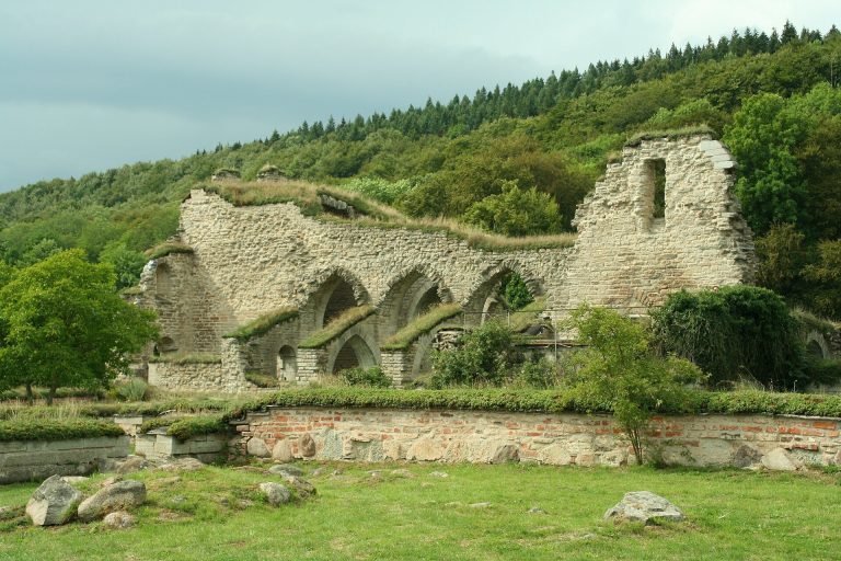 Alvastra Abbey: A Cistercian Monastery in Sweden