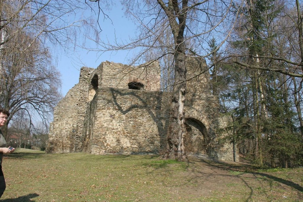 Tvrz Svojšice: A Medieval Stronghold in Czechia 4 Tvrz Svojšice
