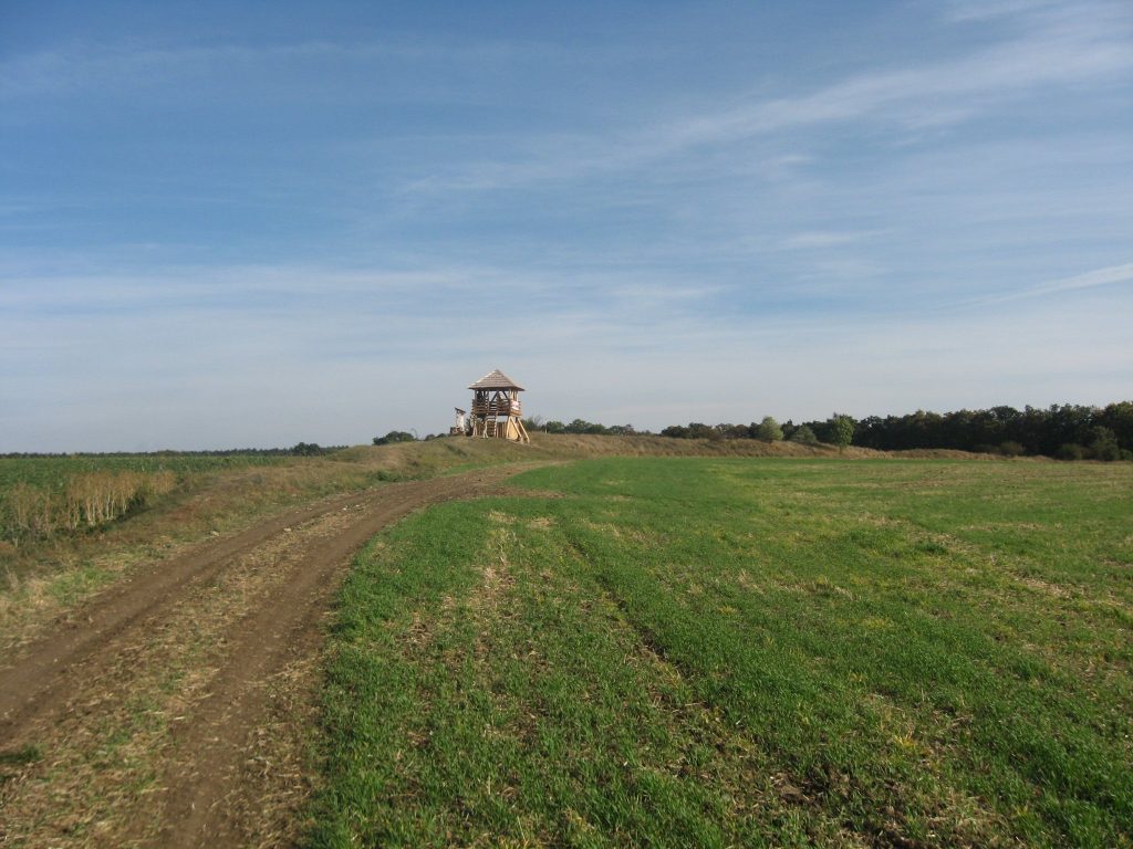 Stradonice: A Celtic Hillfort in Czechia 2 Stradonice