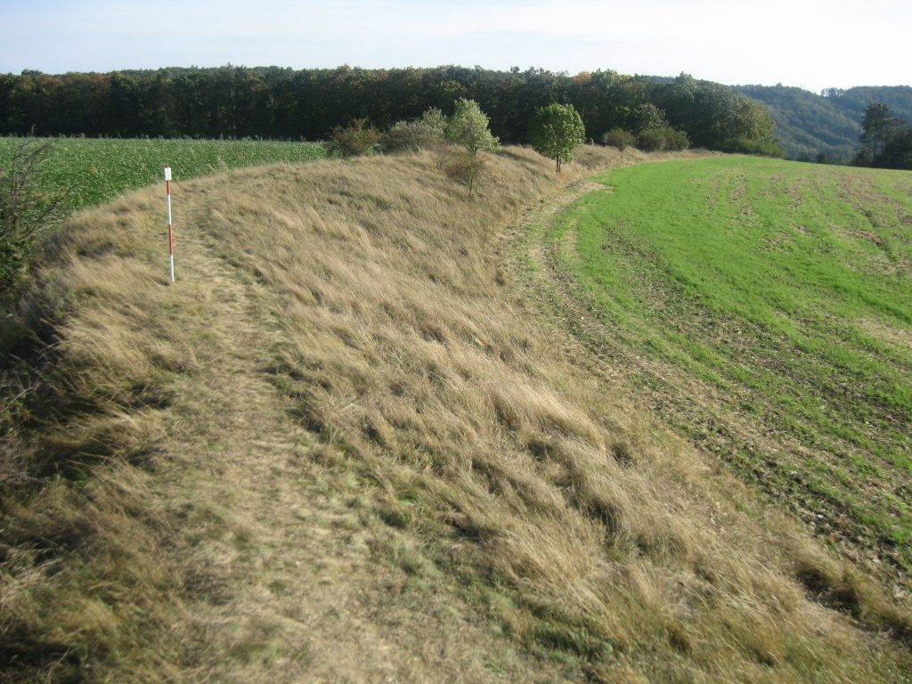 Stradonice: A Celtic Hillfort in Czechia 3 Stradonice