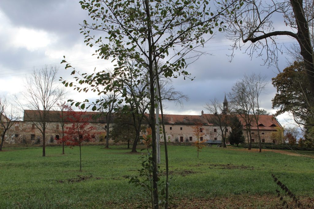 Svinaře Castle: A Baroque Estate in Czechia 2 Svinaře Castle