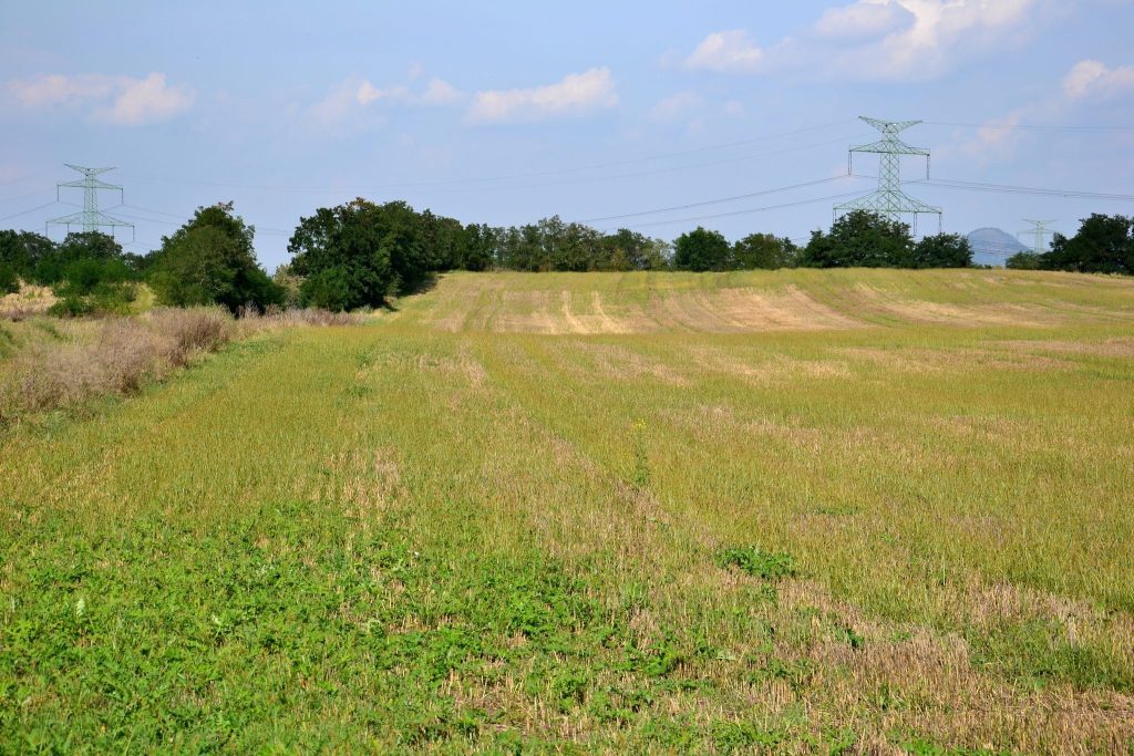 Březno (Hill Fort): A Prehistoric Stronghold in Czechia 1 Březno (hill fort)