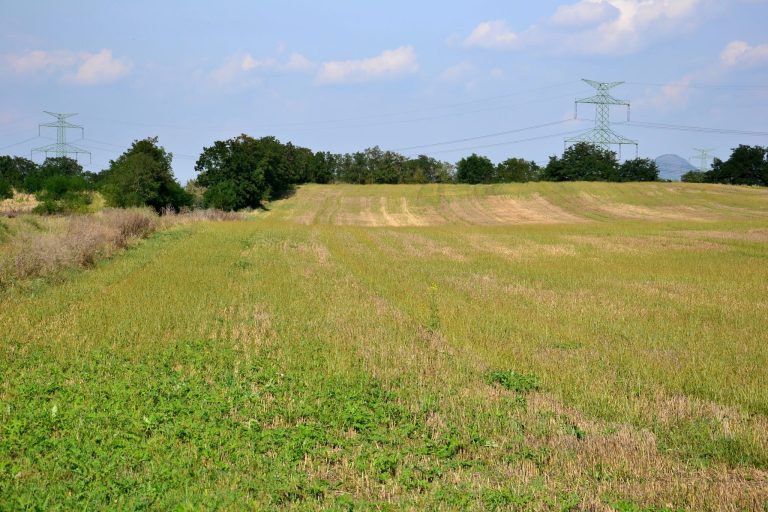 Březno (Hill Fort): A Prehistoric Stronghold in Czechia