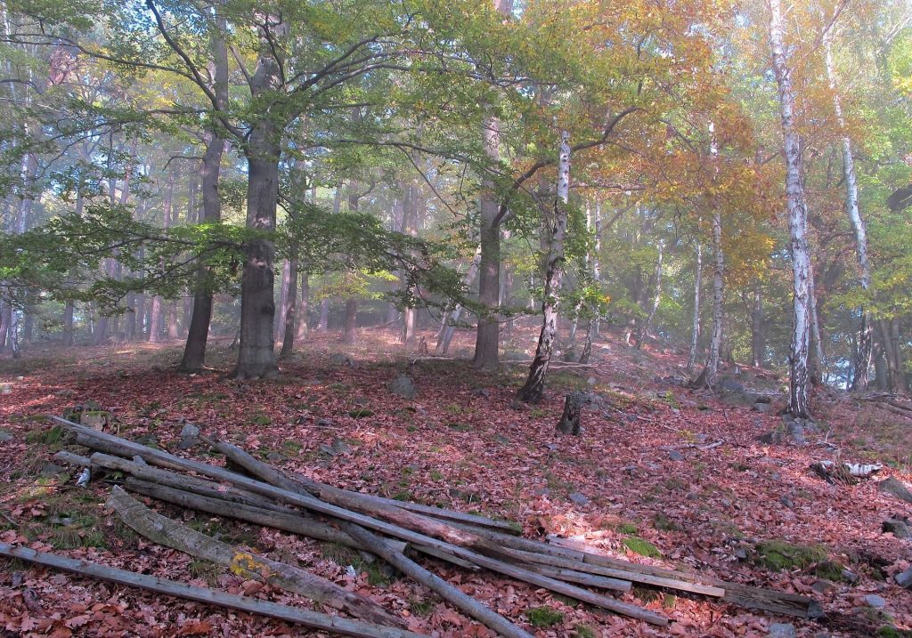 Hradec u Dobříše: A Prehistoric Hillfort in Czechia 1 Hradec u Dobříše