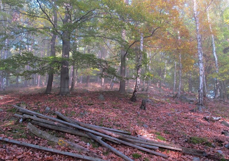Hradec u Dobříše: A Prehistoric Hillfort in Czechia