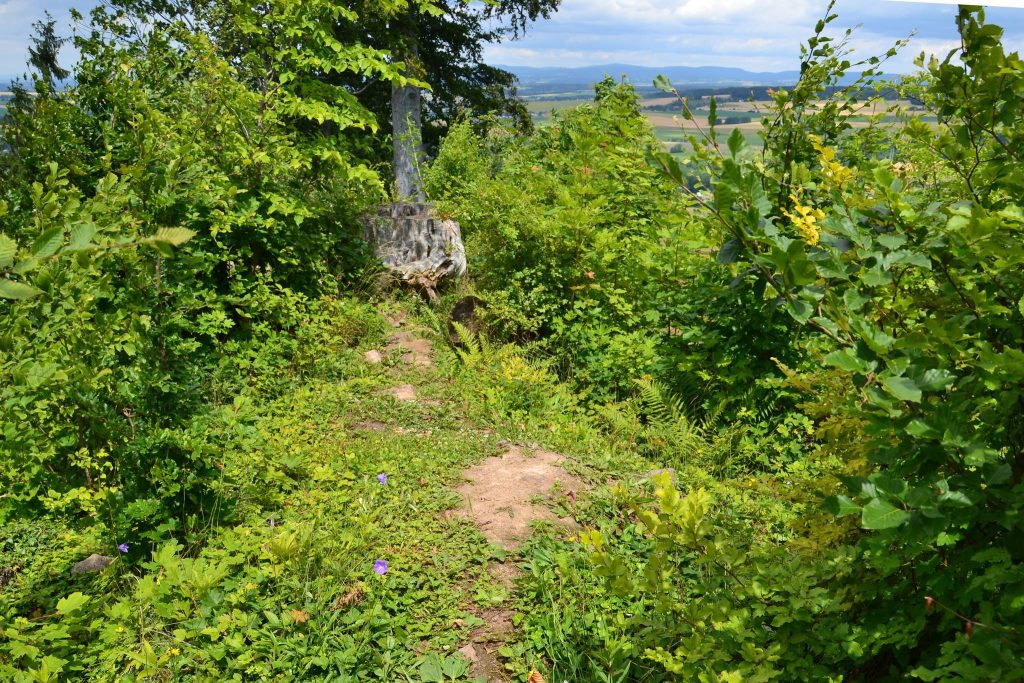 Velešov Castle: A Short-Lived Fourteenth-Century Castle in Czechia 3 Velešov Castle
