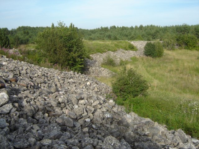 Valjala Stronghold: The Oeselian Fortress on Saaremaa 3 Valjala Stronghold