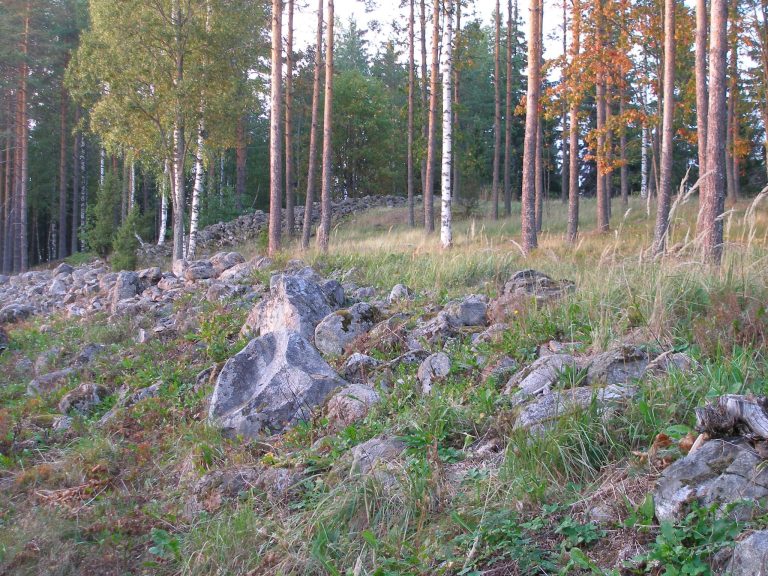 Rapola Castle: An Ancient Hill Fort in Finland