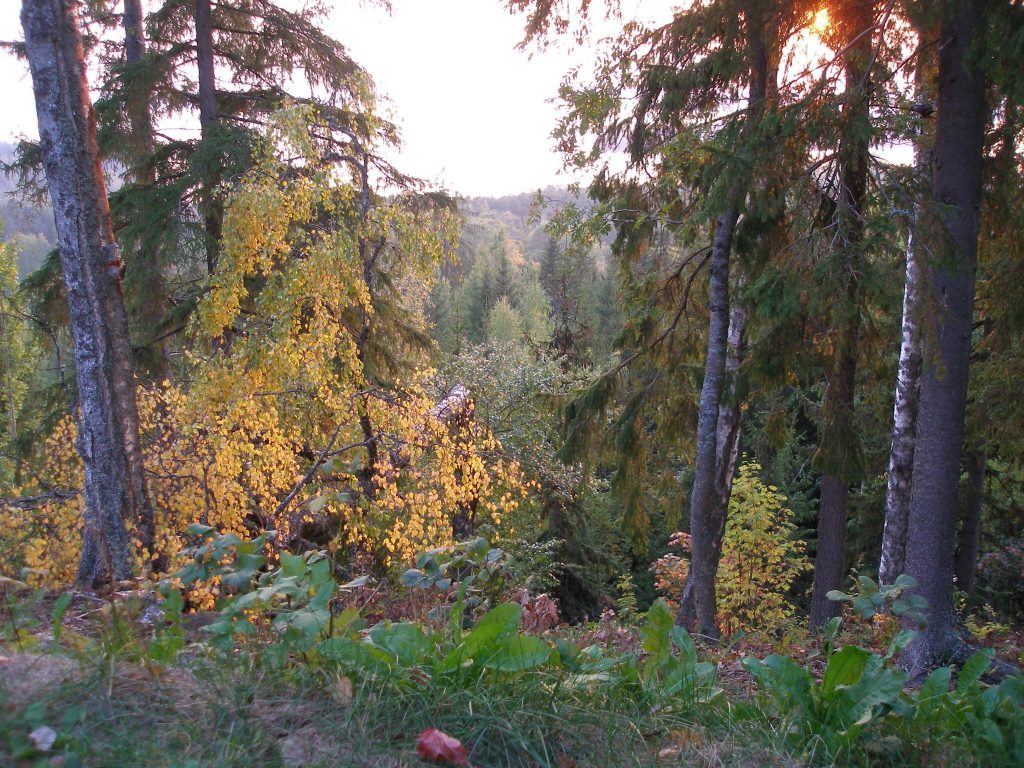 Rapola Castle: An Ancient Hill Fort in Finland 2 Rapola Castle
