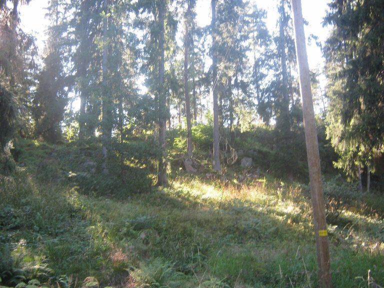 Kauttuan linnavuori: An Iron Age Hillfort in Finland