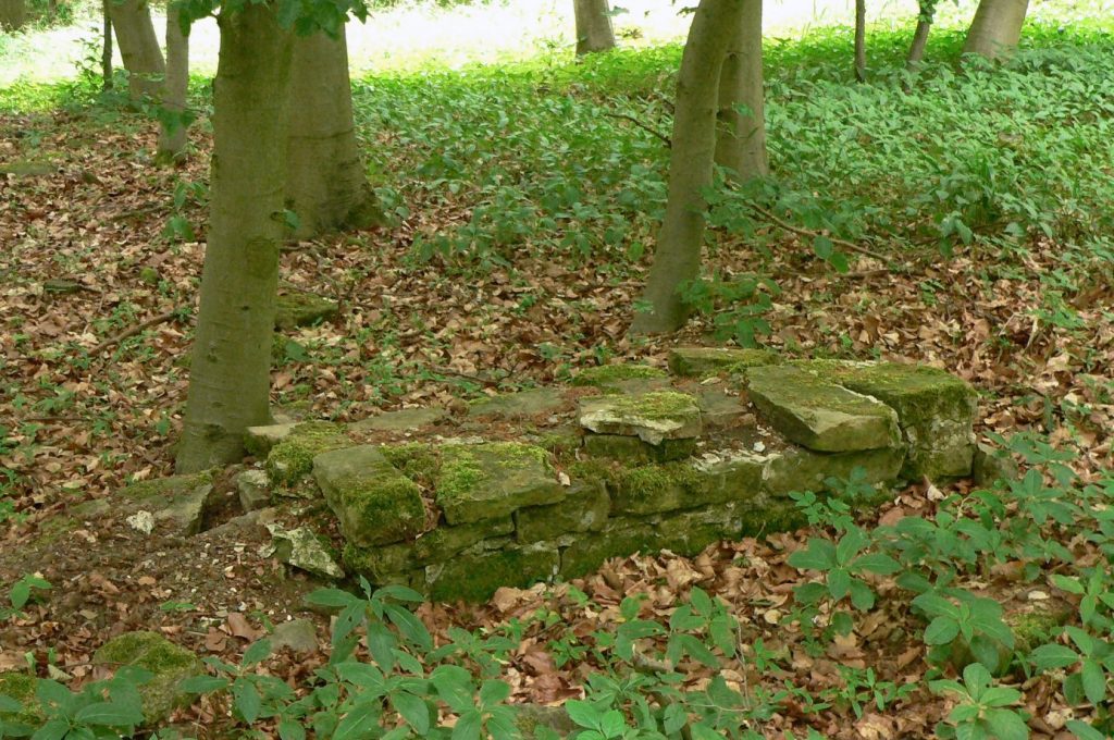 Heisterburg: A Medieval Fortified Hilltop Settlement in Germany 1 Heisterburg