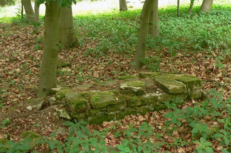 Heisterburg: A Medieval Fortified Hilltop Settlement in Germany