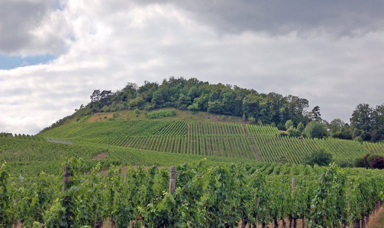 Burg Eselsberg: A Medieval Hilltop Castle in Germany