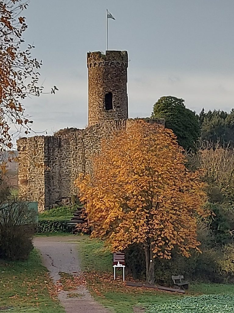Burg Ardeck: A Late-Medieval Territorial Castle in Germany 3 Burg Ardeck