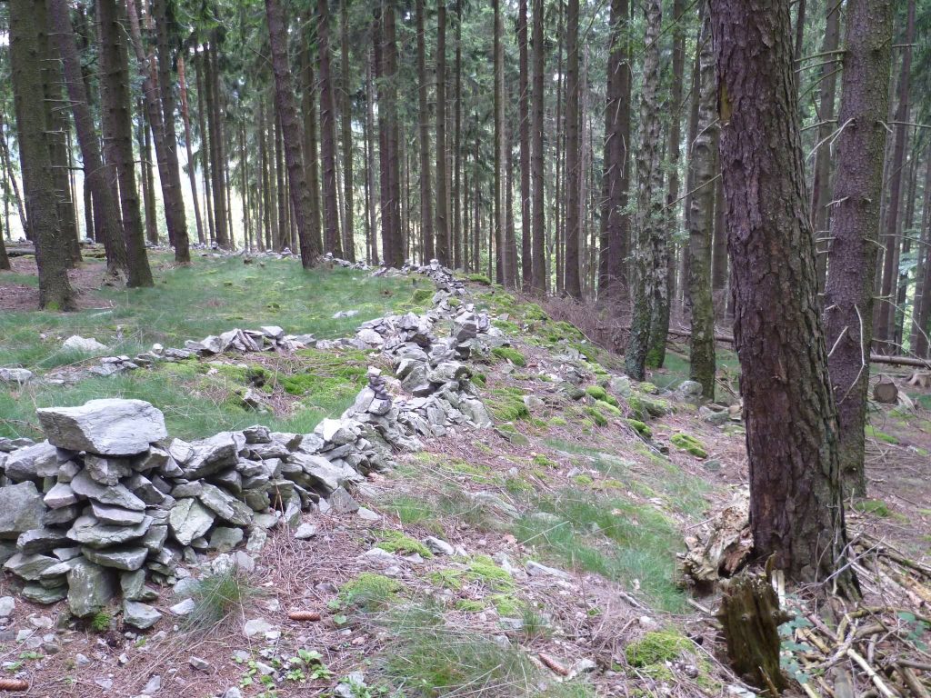 Ringwall Bleibeskopf: A Prehistoric Hilltop Fortification in Germany 1 Ringwall Bleibeskopf