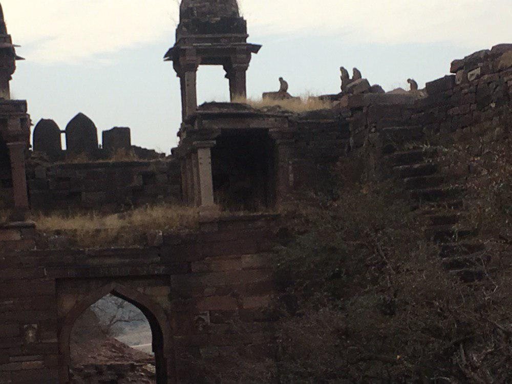 Timangarh Fort: A Jadaun Rajput Stronghold in Rajasthan, India 2 Timangarh Fort